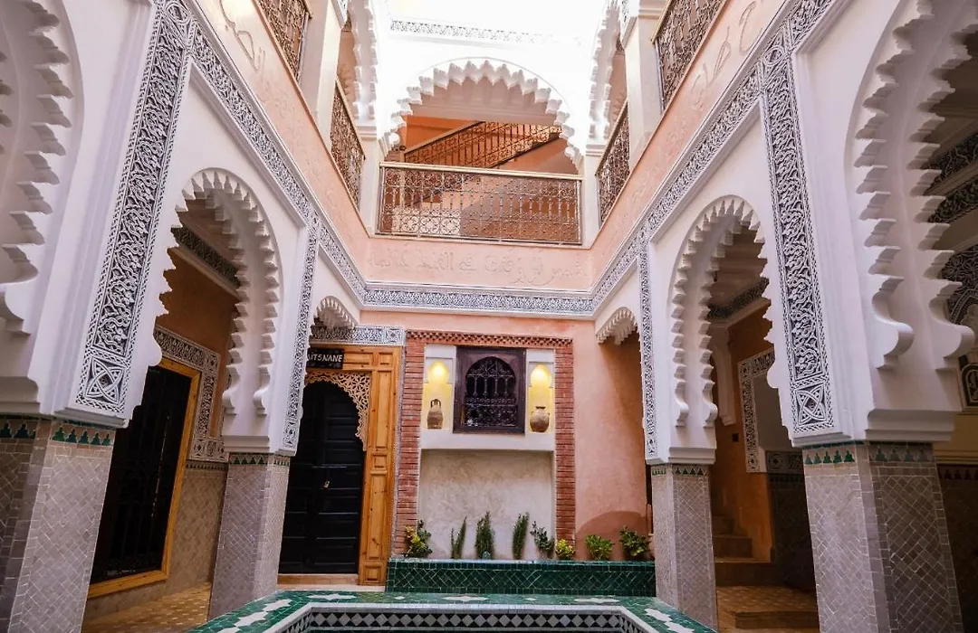 Riad Minami-1