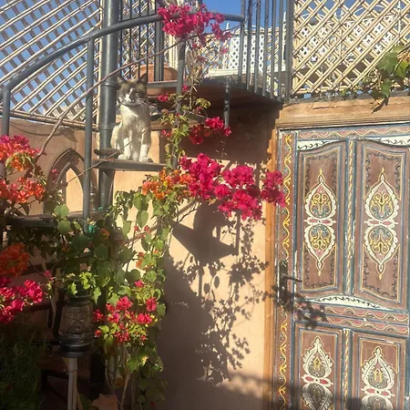 Riad Minami-2